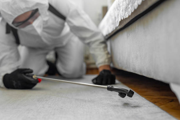 Professional Bed Bug Control technician working in Athens, WV