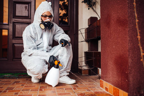 Reliable Bed Bug Control contractor in Athens, WV by Nex Pest Control